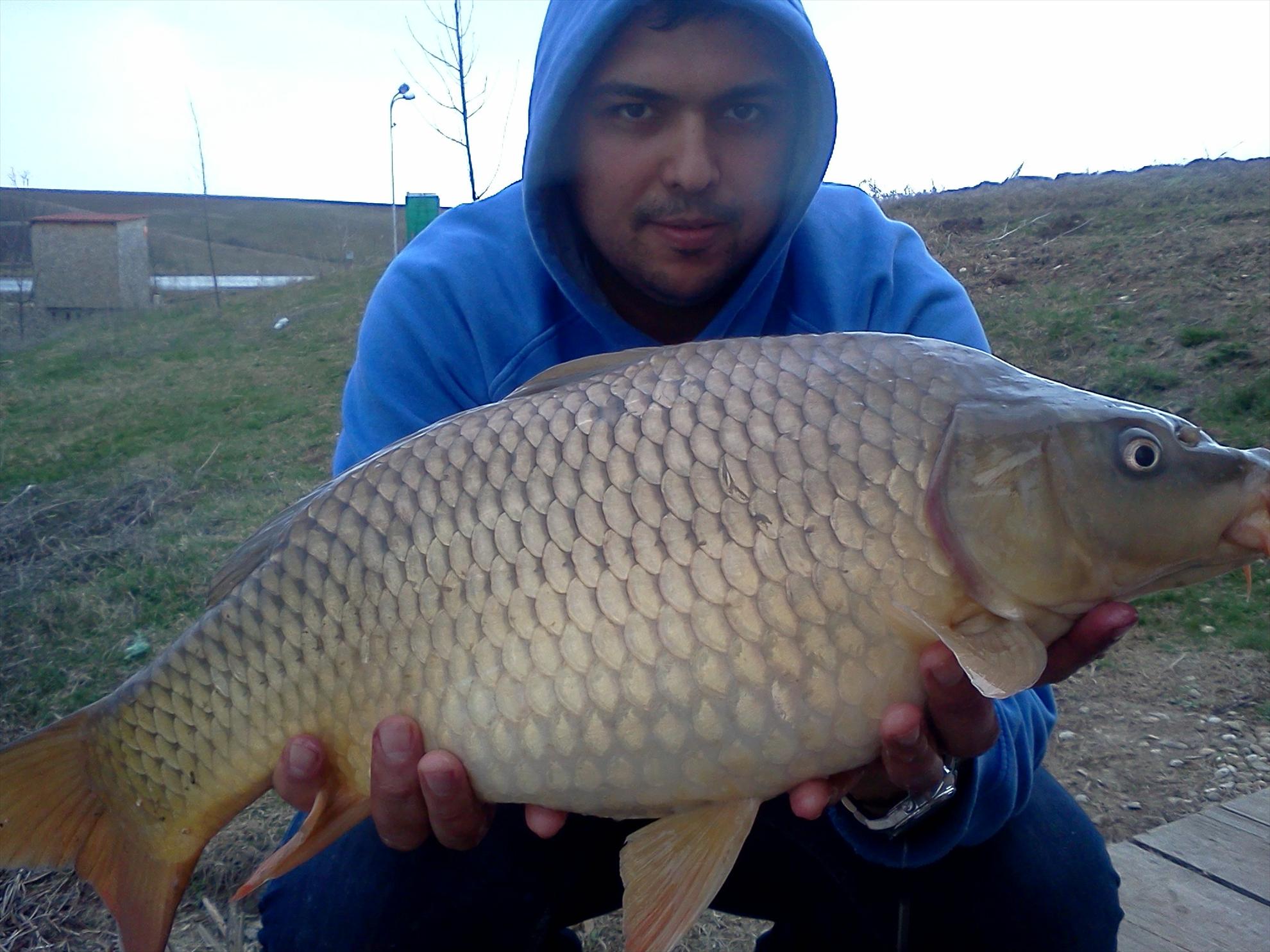 Magura 9 21 - 21 mar. - img931.jpg